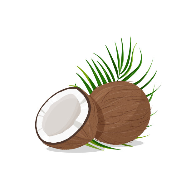 新鲜的整个半椰子和绿叶。真实的矢量插图孤立在白色背景。图片下载
