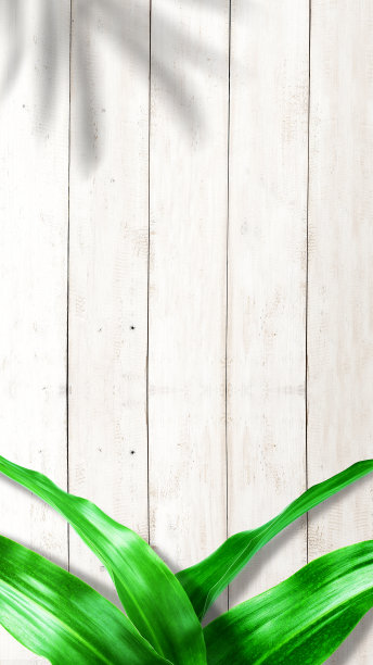 木制桌子的背景是热带树叶图片下载