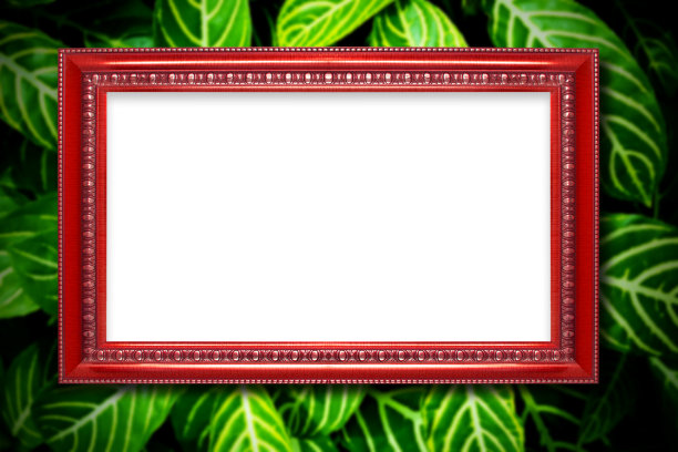 红色木框架上的绿叶纹理背景。图片下载