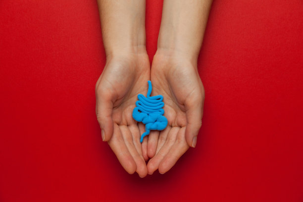 治疗和预防便秘、腹泻。肠道菌群和益生菌。卡通的概念图片下载