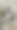 宠物爱图片下载