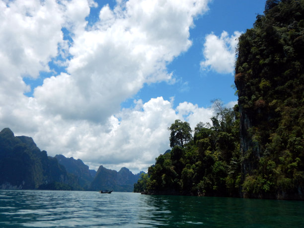 湖边郁郁葱葱的森林。图片下载