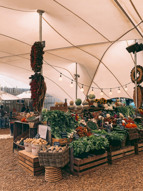 南非开普敦的Oranjezicht农贸市场摊位图片下载