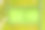 在绿色草地上的网球场在白色背景上孤立的锡尼运动的基线图片下载