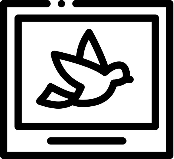 鸟图片或照片卡图标细线图片下载