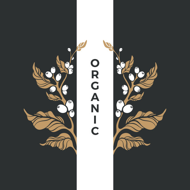 有机的象征。矢量艺术花园，生物种植园图片下载