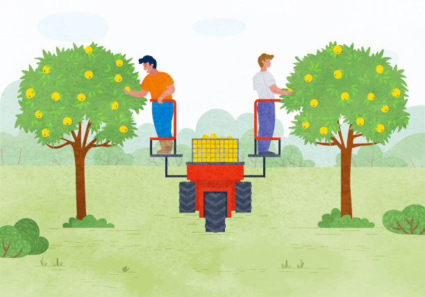 秋天，人们在花园里摘苹果图片下载