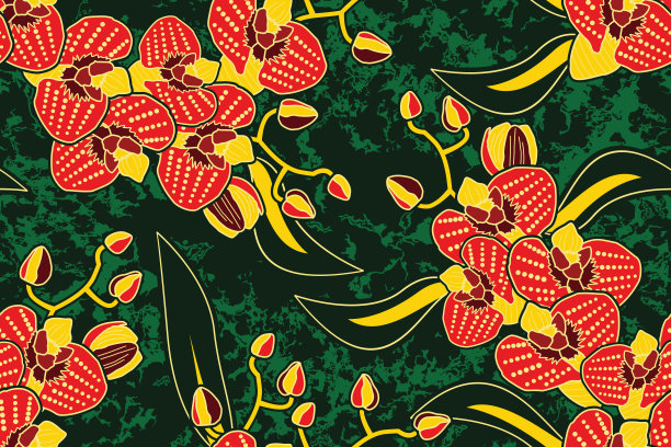 无缝模式与兰花矢量插图图片下载