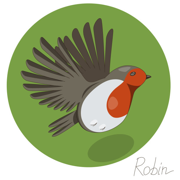 绿色背景上飞翔的知更鸟图片下载