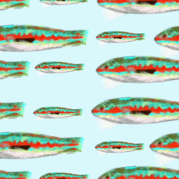 Donzella鱼图案来自地中海，地中海美食和地中海鱼主题的理想镜头图片下载