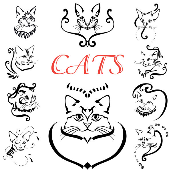 抽象的猫组图片下载