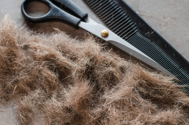 剪过的头发，剪子和梳子。理发的工具。图片下载