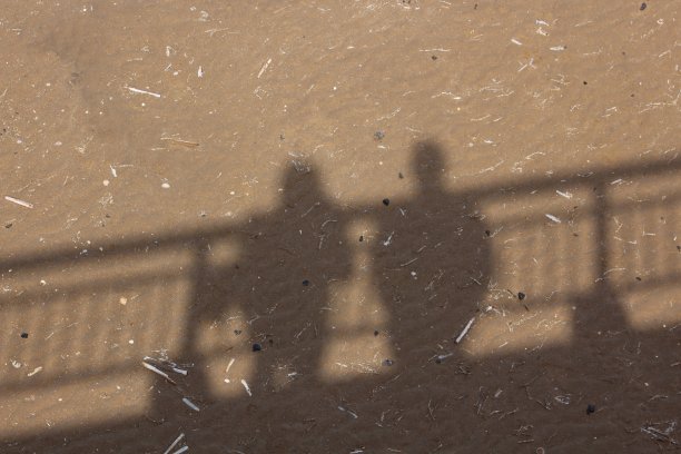 沙滩上的影子图片下载