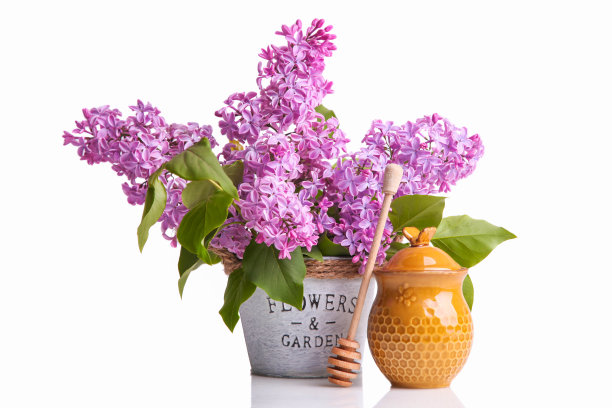 在装饰桶和罐子里的丁香花枝和蜂蜜图片下载