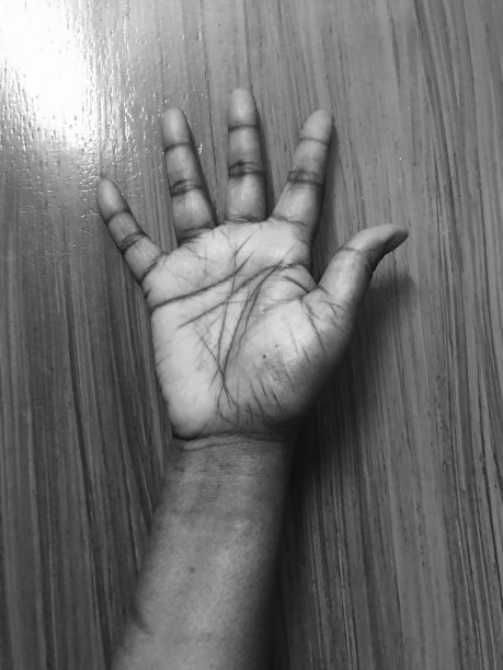 年老的时候图片下载