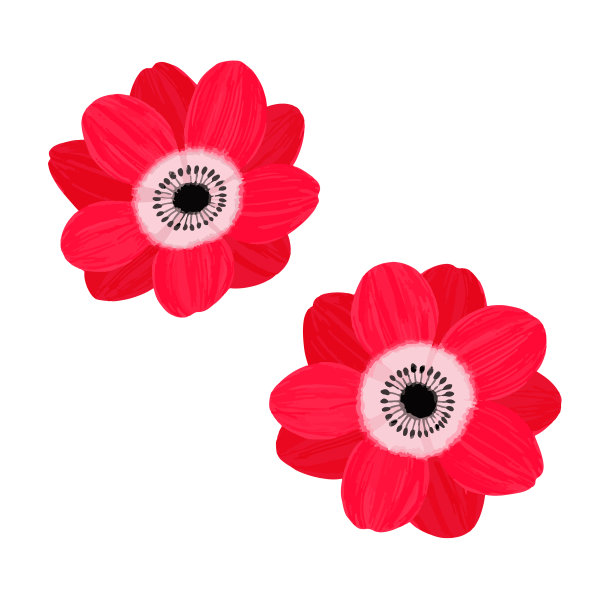 矢量插图的两个海葵在白色的背景图片下载