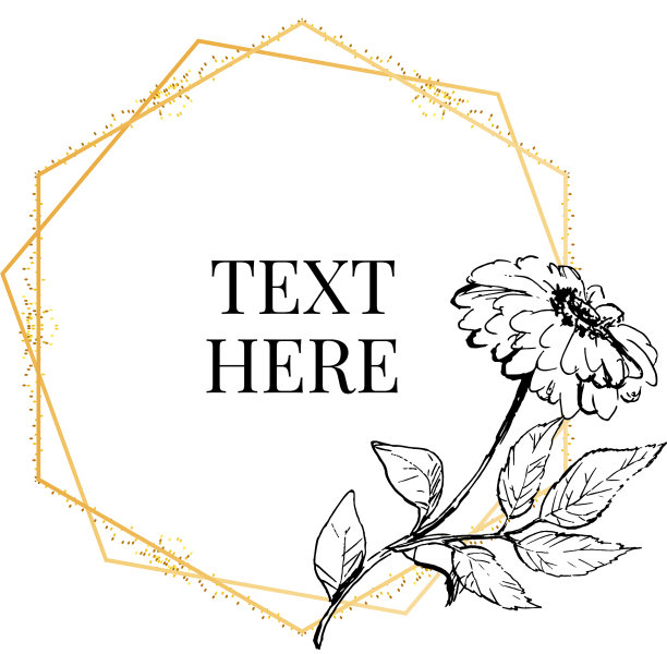 美丽的卡片上有不同的圆花圈图片下载