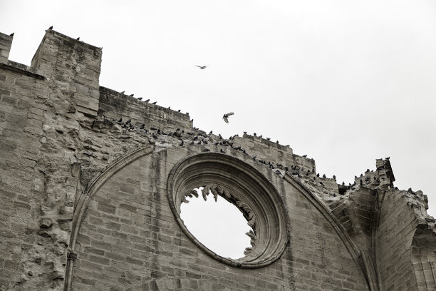 城堡和鸽子图片下载
