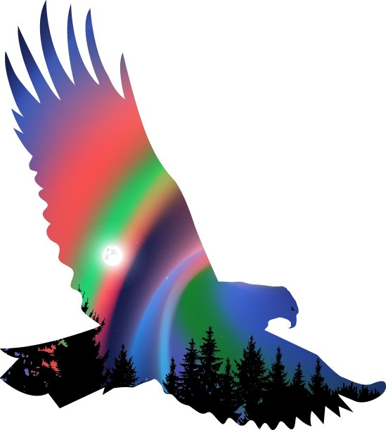 轮廓的鹰图片下载