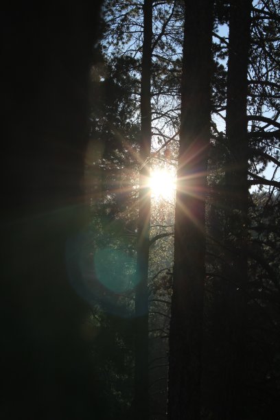 通过窥视图片下载