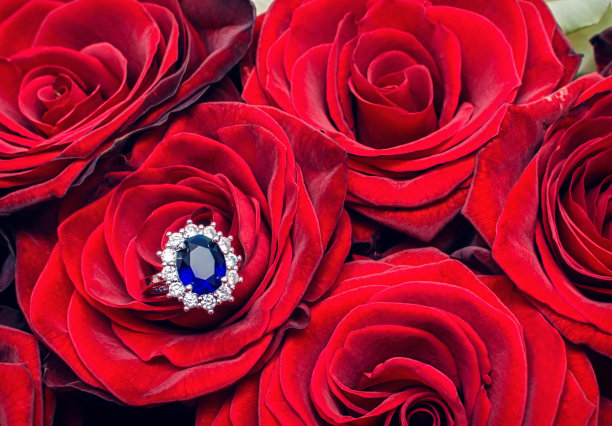 红玫瑰上镶着蓝色宝石的银戒指图片下载