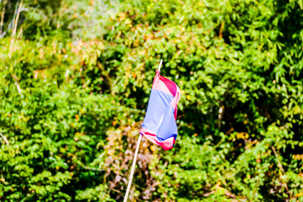 女人在花园里浇花，数码照片图片作为背景图片下载
