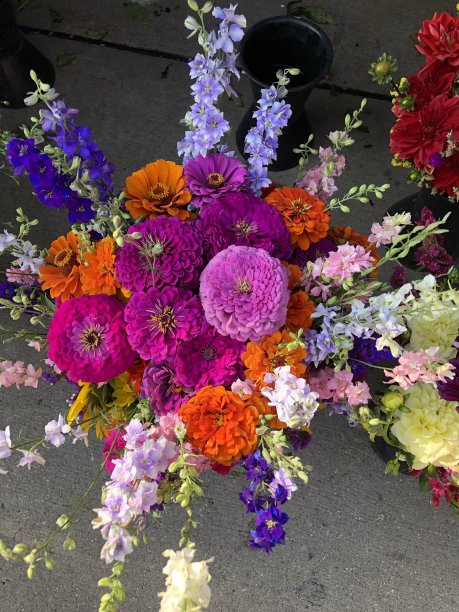 夏天的气味图片下载