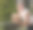 40、结婚周年快乐的女人，手里捧着一束美丽的五彩芬芳的鲜花。图片下载