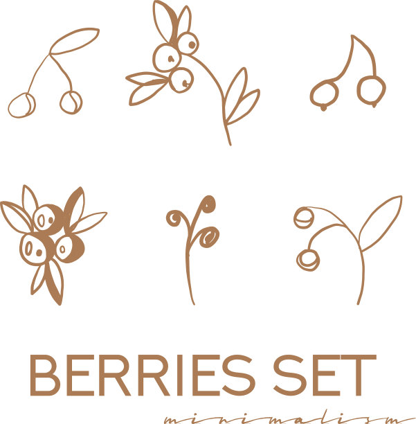 浆果集花叶子浆果图片下载