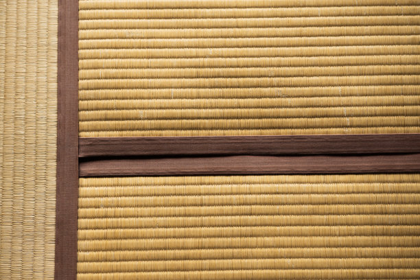 榻榻米图片下载