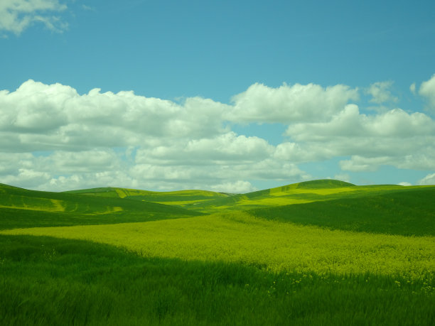 颜色的农场图片下载