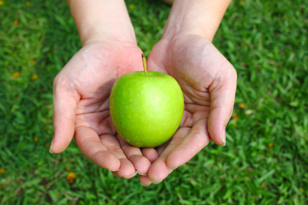 手握绿色的苹果在绿色的草地背景与拷贝空间。21、地球日，环保理念图片下载