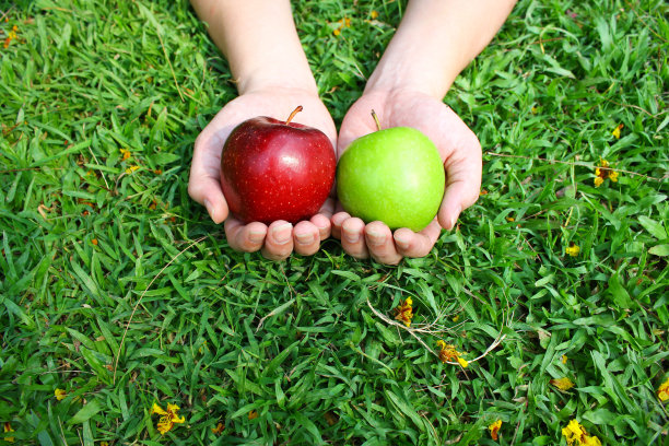 手拿红色和绿色的苹果在绿色的草地背景复制空间。地球日，世界和平节约环境生态理念图片下载