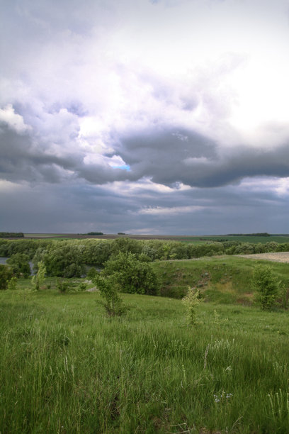 美丽的夏季风景自然乡村。绿草如茵，绿树成荫。设计素材照片图片下载