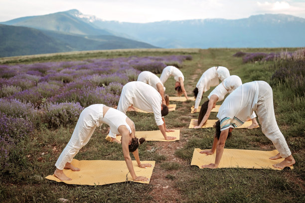 一群做瑜伽的人放松了图片下载