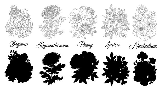 设置黑白轮廓花图片下载