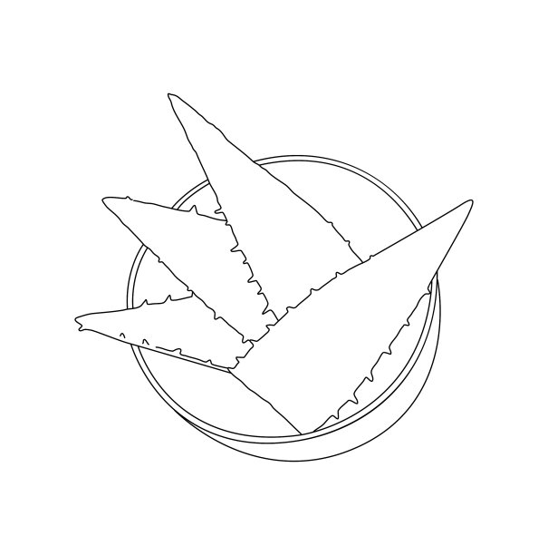 芦荟叶在碗剪影图片下载