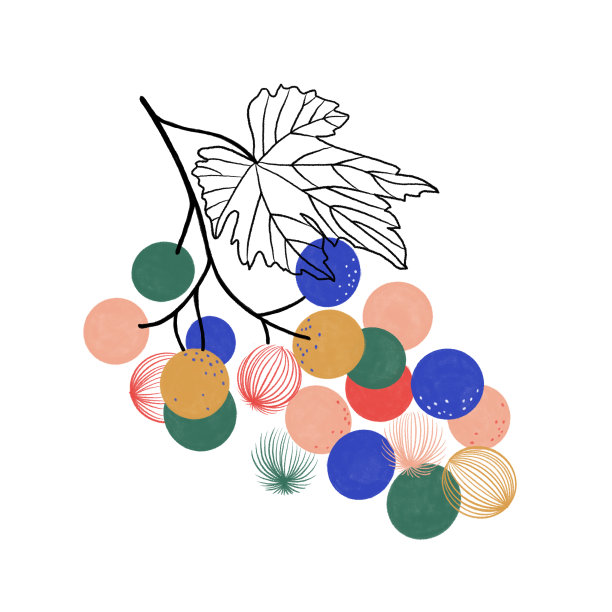 手绘彩色葡萄插图。果图。图片下载