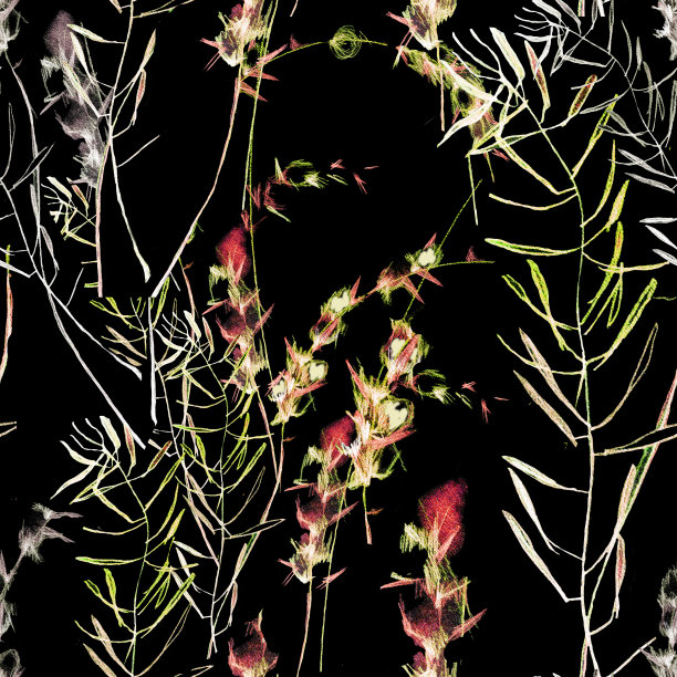 水彩草黑色背景无缝模式。图片下载