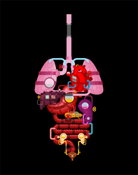 金属人体解剖器官。人工器官。控制论的未来。人体机器人系统。机器人内部器官。铁半机械人食道器官系统身体。医疗系统。矢量图图片下载