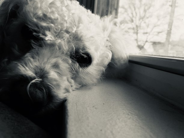 日常生活图片下载