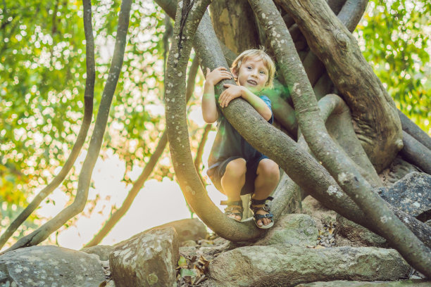 男孩在潮湿的热带森林里看热带藤本植物图片下载