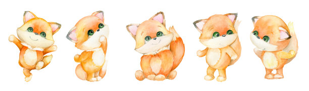 狐狸水彩画集，里面有一只可爱的红狐狸。白色背景上的狐狸。图片下载