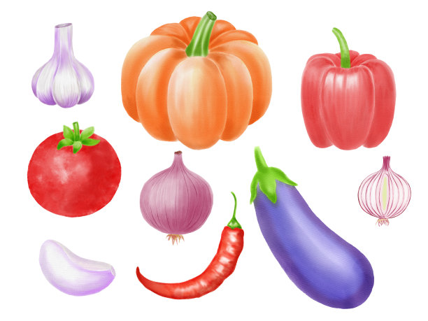蔬菜水彩插图设置洋葱，大蒜，茄子，南瓜，胡椒，番茄图片下载
