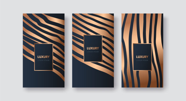 Vector为奢侈品、社交媒体故事、邀请、广告、化妆品、巧克力、葡萄酒设置了青铜线条图案的包装模板。隔离在黑色，蓝色背景图片下载