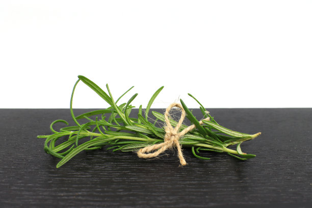 各种迷迭香图片下载