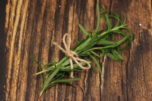 各种迷迭香图片下载