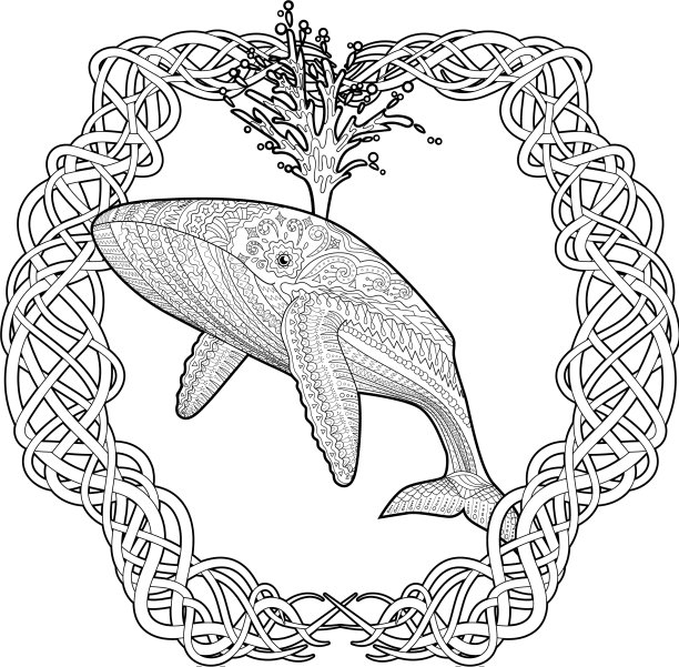 用蓝鲸为成人涂色图片下载