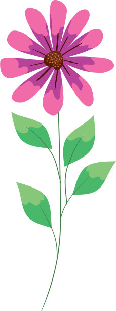 可爱的有枝有叶的花图片下载