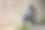 维斯比老城墙上的大门。中世纪建筑的照片。哥特兰岛。图片下载
